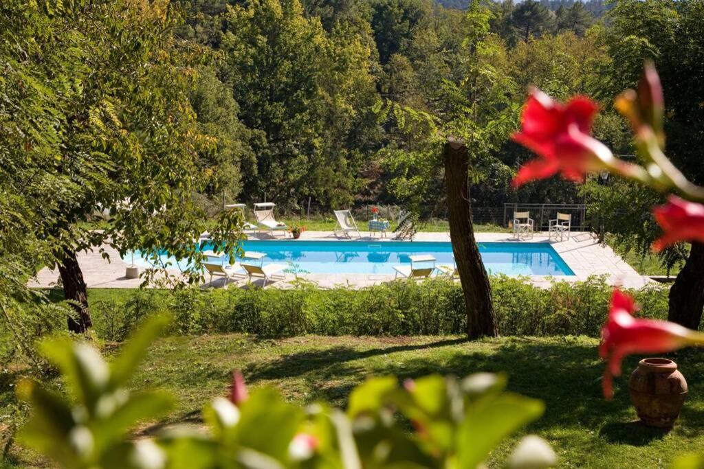 Villa Liz Tuscany, Private Pool, Hot Tub, Property Fenced, Pets Allowed Poppi Kültér fotó