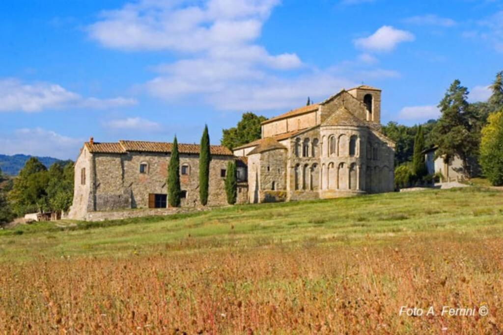 Villa Liz Tuscany, Private Pool, Hot Tub, Property Fenced, Pets Allowed Poppi Kültér fotó