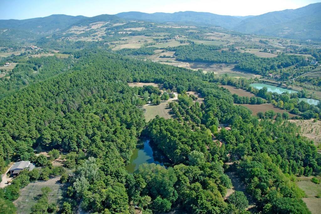 Villa Liz Tuscany, Private Pool, Hot Tub, Property Fenced, Pets Allowed Poppi Kültér fotó